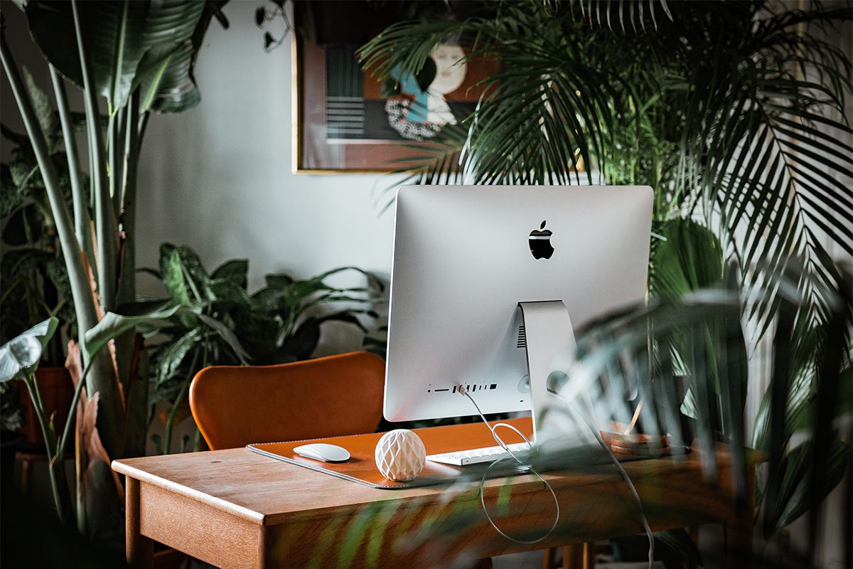 computer desk with plants